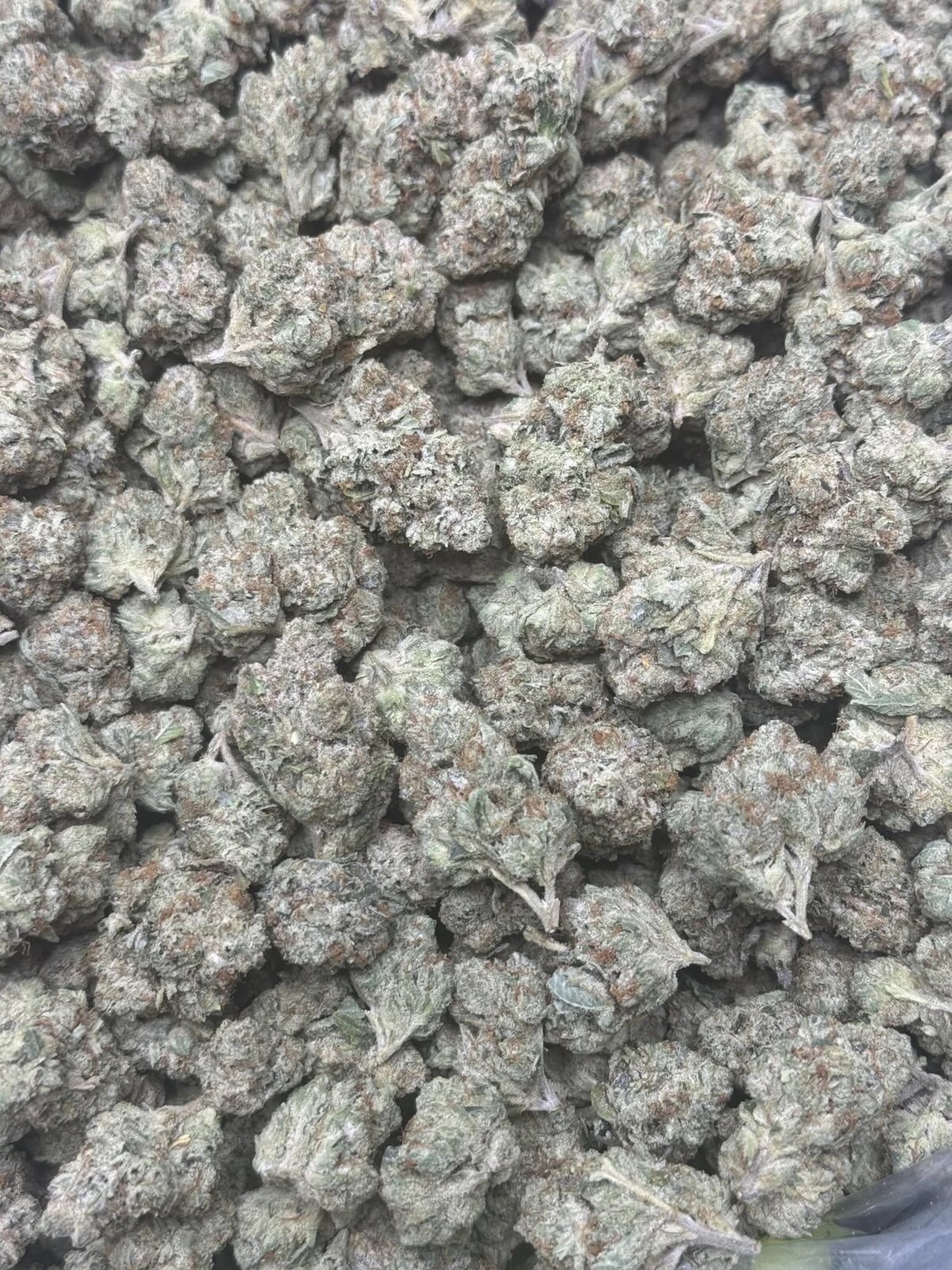 Hu Ki' Ku - Hu Ki' Ku - Lemon Cherry Gelato - 3.5g Main Image