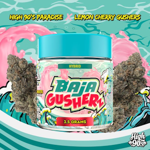 HIGH 90S - HIGH 90S | BAJA GUSHERZ | FLOWER | 3.5G