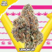 High 90's Smalls 7g Lemon Up