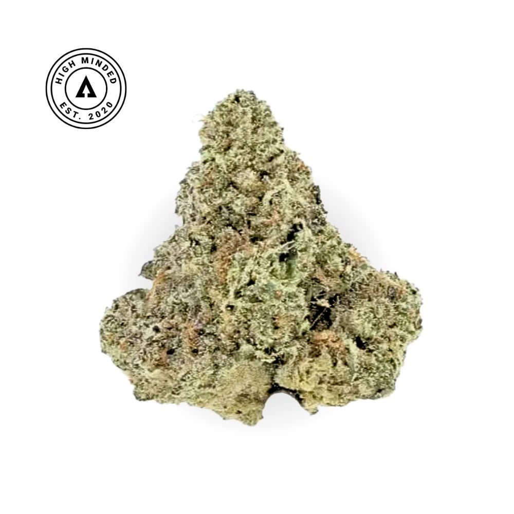 High Minded - Jokerz #99-High Minded Main Image