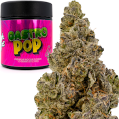 Gastro Pop 3.5g Jar - High Tops