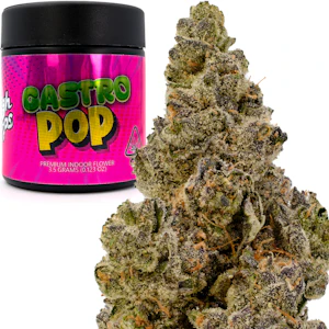 HIGHTOPS - Gastro Pop 3.5g Jar - High Tops