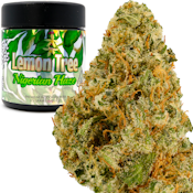 Lemon Tree Nigerian Haze 3.5g Jar - High Tops