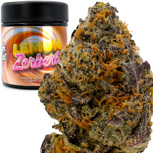 HIGHTOPS - Lemon Zerbert 3.5g Jar - High Tops