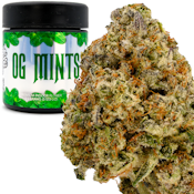 OG Mints 3.5g Jar - High Tops