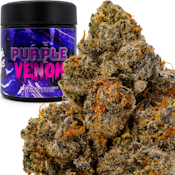 Purple Venom 3.5g Jar - High Tops