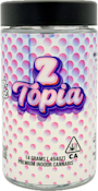 Z Topia 14g Jar - High Tops