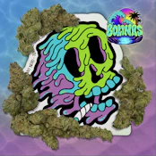 3.5 - Bolinas