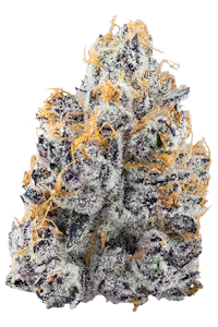 Fractal - High Fructose Corn Syrup Buds