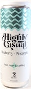 Highly Casual - Blueberry Pineapple Seltzer 4pk - 8mg