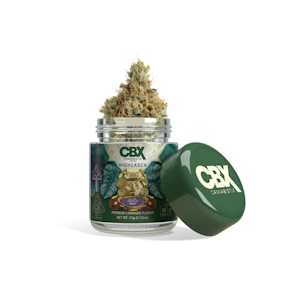 CANNABIOTIX - Highuasca (H) | 3.5g Premium Flower | CBX