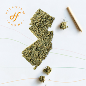 [REC] Hillview | Cereal Milk | 1g/2pk
