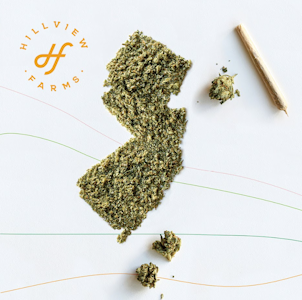 HILLVIEW FARMS - [MED] Hillview Farms | Headband 1g/2pk Prerolls