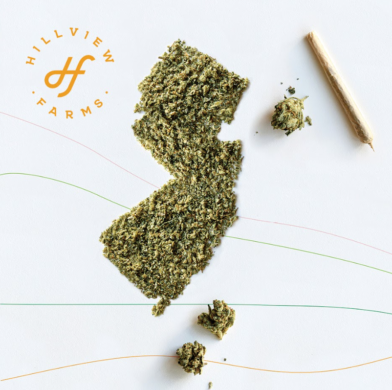 [REC] Hillview Preroll | Zesty Parm | 1.0g/2pk