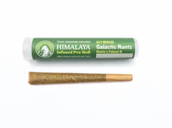 Himalaya | Galactic Runtz | Infused Pre-Roll | 1g