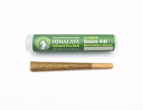 himalaya tobacco Himalaya | Gelato #41 | Infused Pre-Roll | 1g