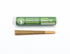 Himalaya | Gelato #41 | Infused Pre-Roll | 1g