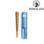 Double Runtz THCa Diamond Infused Pre-Roll
