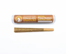 Himalaya | Poison Gushers | Infused Pre-Roll | 1g