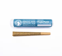 Himalaya | Purple Punch | Infused Pre-Roll | 1g