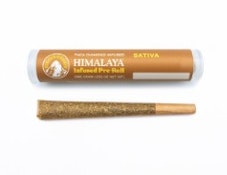 Himalaya 1g Lemon Snow Leopard Infused Preroll