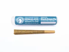 Himalaya | Sherb Cream Pie | Infused Pre-Roll | 1g