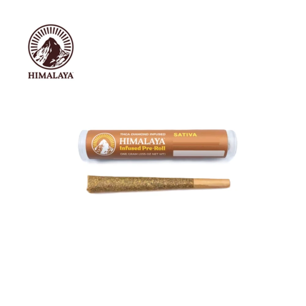HIMALAYA - Himalaya Super Lemon Haze (S) Infused Preroll 1g Main Image