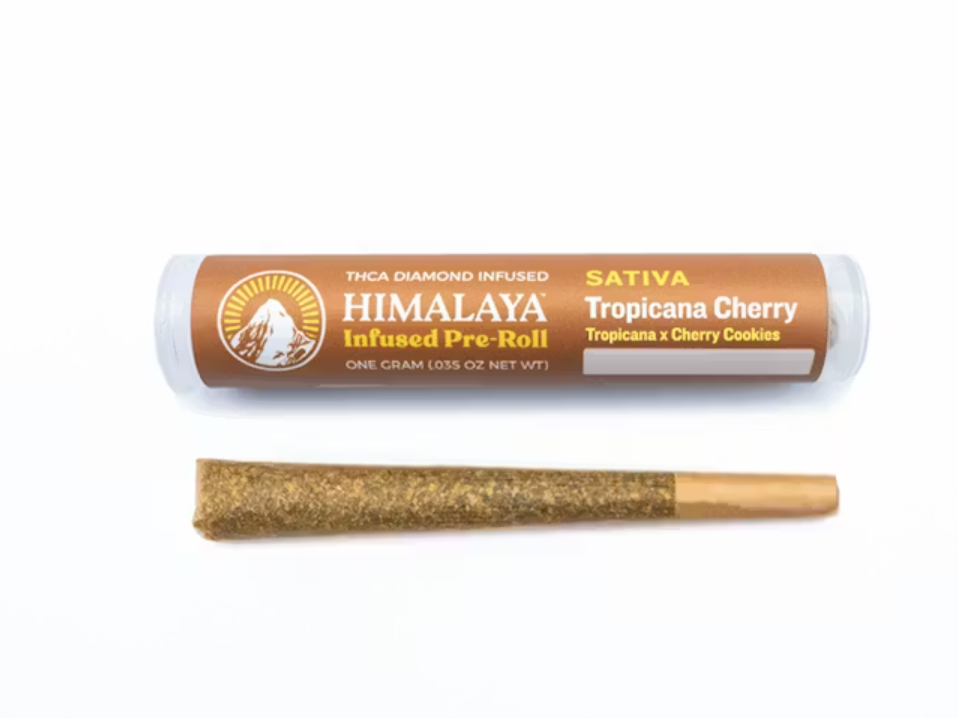 Himalaya | Tropicana Cherry | Infused Pre-Roll | 1g
