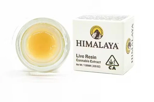 HIMALAYA - Cheetah Piss Terp Sauce 1G Main Image