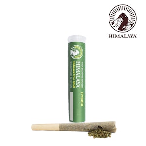 HIMALAYA - Himalaya 1g Runtz Infused Preroll
