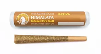 Himalaya 1g Lemon Pluot Infused Preroll
