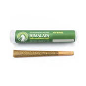 Himalaya - 1g Infused PreRoll (Galactic Runtz)
