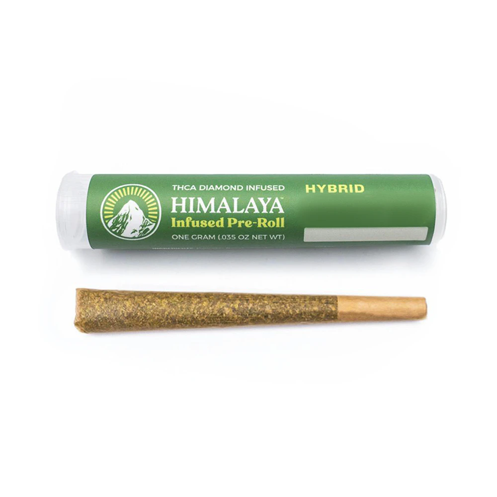 HIMALAYA - Himalaya - 1g Infused PreRoll (Galactic Runtz) Main Image