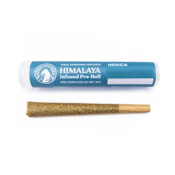 Himalaya - 1g Infused PreRoll (Gelato Dosi-Indica)