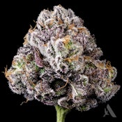 Hippie Crasher Flower T22.13% I 00484