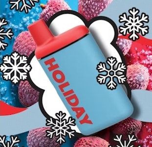 Holiday - H25 Holiday Staycation Vape Pen 1g