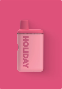 HOLIDAY - Weekend | 1g