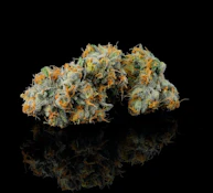 Cookies | Hollywood | 3.5g