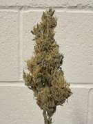 Honey Banana 3.5G by Choof