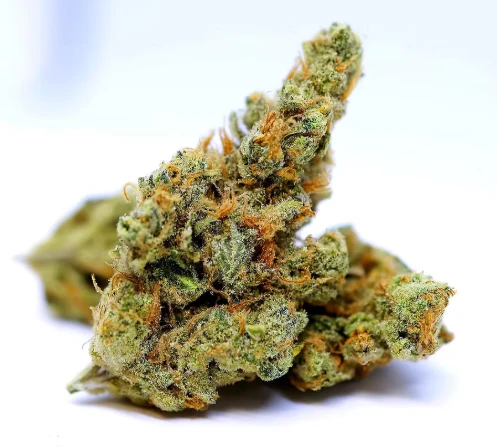 APPLE GUY FLOWERS - Honey Bananas | 5 x 0.5g Prerolls | TAX INCLD Main Image