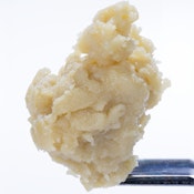 WCC | Live Rosin Badder | Honey Bananas | 1g
