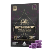 Honey Boysenberry (I) | Lights Out 1:1 THC/CBN 100mg Gummies Sugar Free | Heavy Hitters