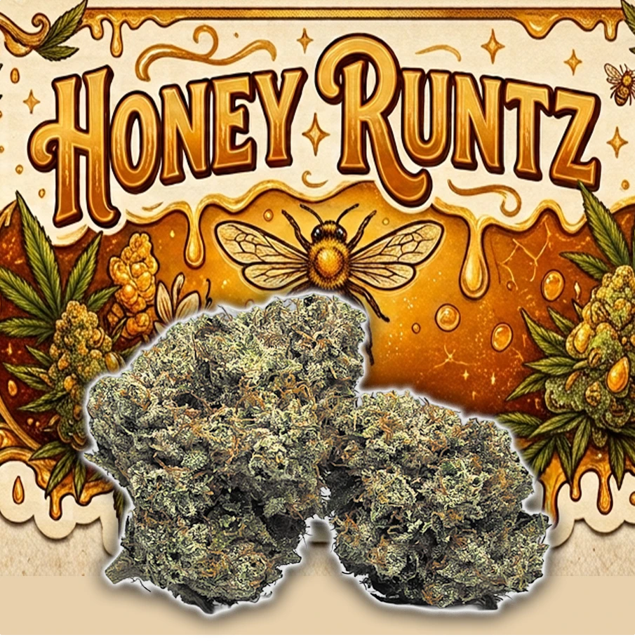 Green Dragon - 14g | $110 Honey Runtz (H) Main Image