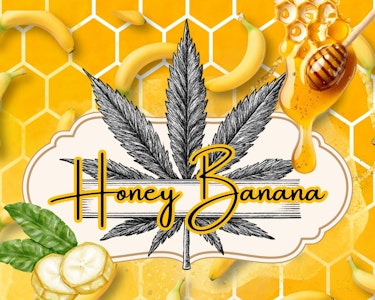 THE HEMPIRE COLLECTIVE - THC | Honey Banana