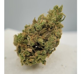 THE HEMPIRE COLLECTIVE - THC - Honey Banana Bud
