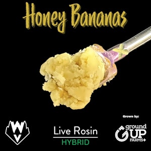 WILLAMETTE VALLEY ALCHEMY - Honey Bananas, Live Rosin