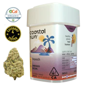 Hooch (I) | 7g Sun Grown Flower | Coastal Sun