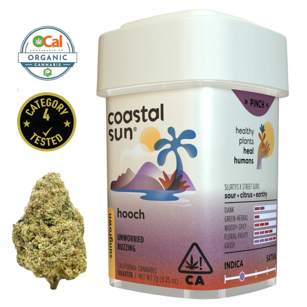 Coastal Sun - Hooch (I) | 7g Sun Grown Flower | Coastal Sun Main Image