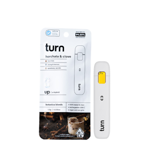TURN - Horchata & Clove (S) | 1g Botanical Blends AIO | Turn