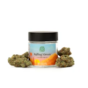 Hot Lanta | Flower | 3.5g | Rolling Green